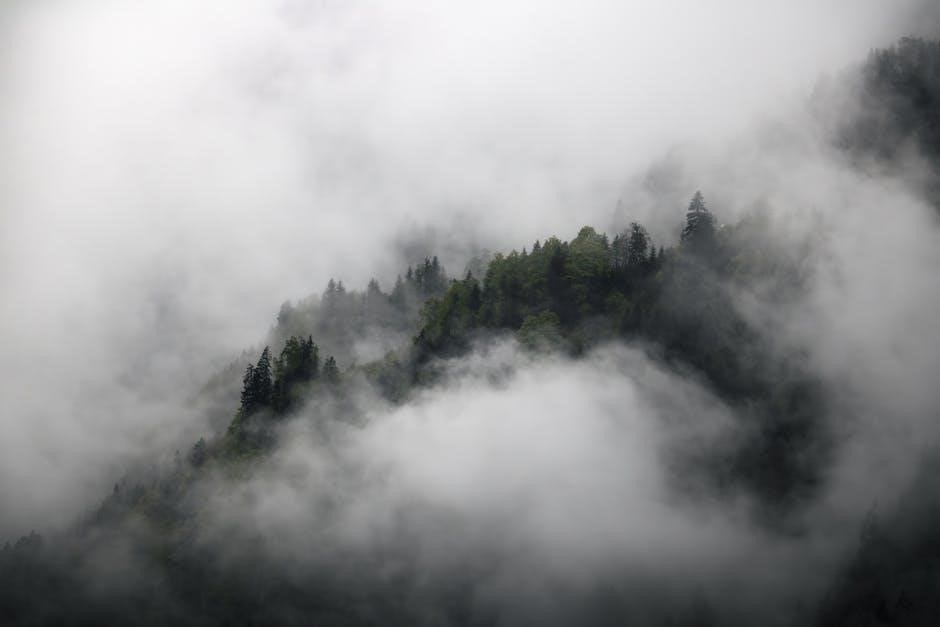 pexels-photo-17720580