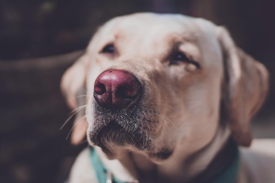 pexels-photo-1821171