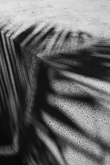 pexels-photo-20586008